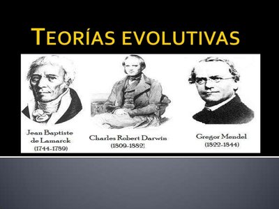 A Partir Del S. XVIII Surgirán Las Teorías Evolutivas Más Actuales.